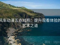 风车动漫五点对照：提升观看体验的艺术之道