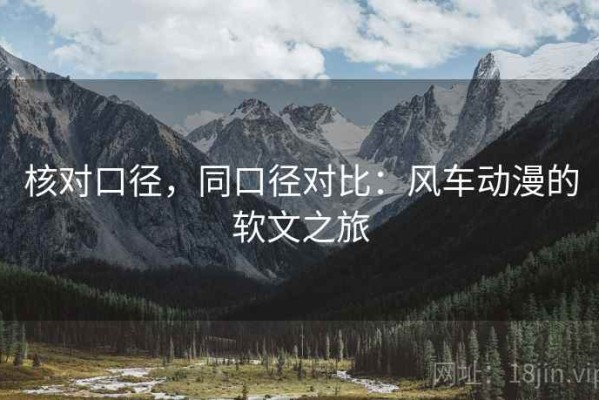 核对口径，同口径对比：风车动漫的软文之旅