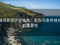 蜂鸟影院评论指南：配乐与条件核对的重要性
