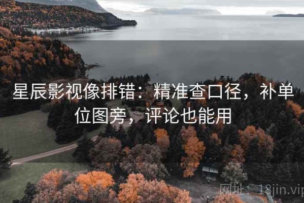 星辰影视像排错：精准查口径，补单位图旁，评论也能用