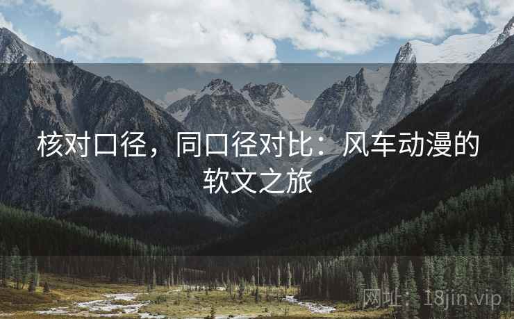 核对口径，同口径对比：风车动漫的软文之旅