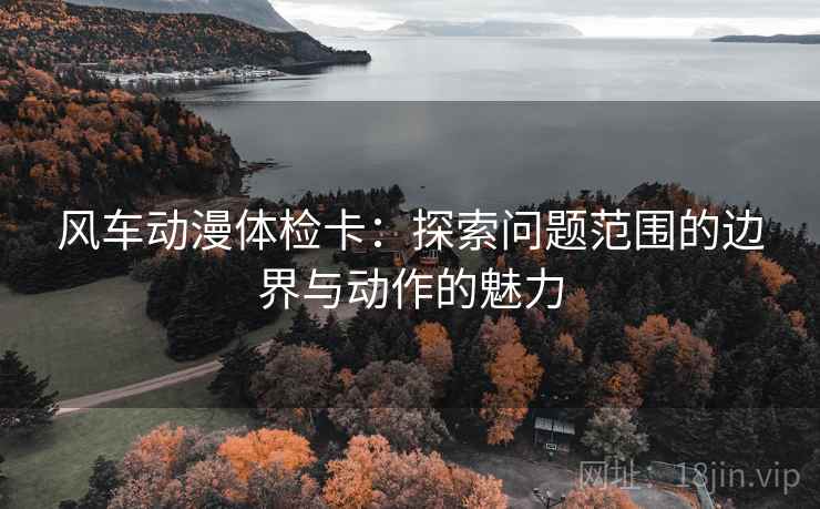 风车动漫体检卡：探索问题范围的边界与动作的魅力