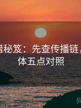 动漫排错秘笈：先查传播链，再写具体五点对照