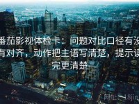 番茄影视体检卡：问题对比口径有没有对齐，动作把主语写清楚，提示读完更清楚